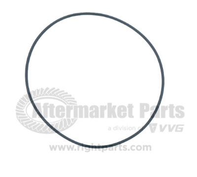 31725002 Drive Axle Spindle O-Ring
