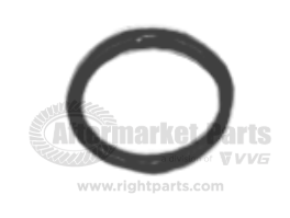 31729024 O-Ring