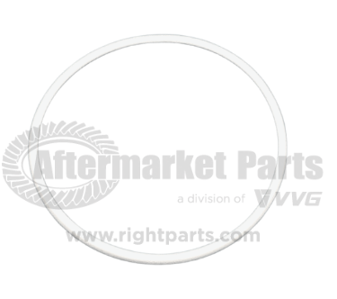 39203006 Transmission Oil Seal