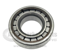 Drive Axle Differential Bearing