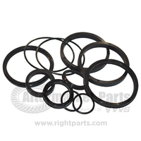 Steering Cylinder Repair Kit